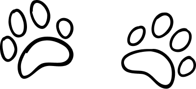 t43b34bt