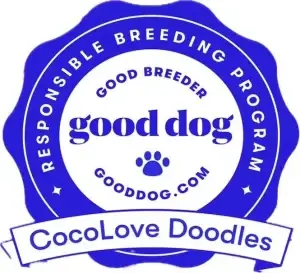 GDOG