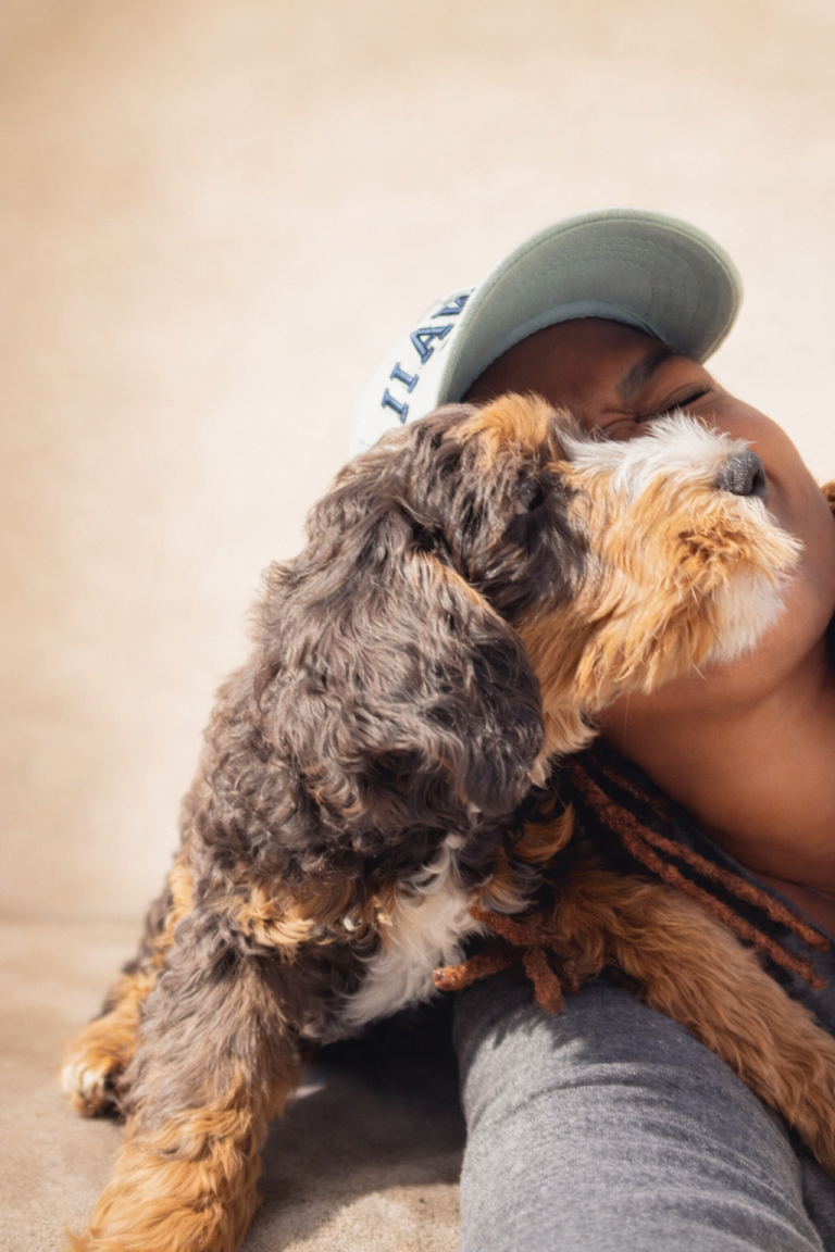 becoming a Boutique Goldendoodle breeder