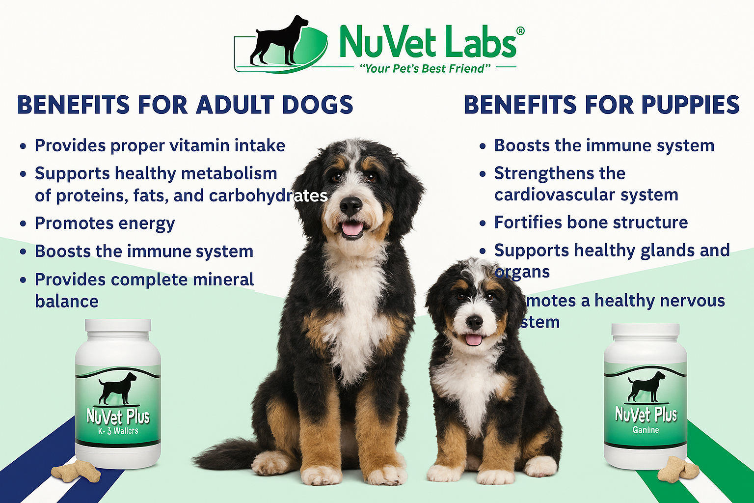 NuVet Plus recommended by CocoLove Doodles
