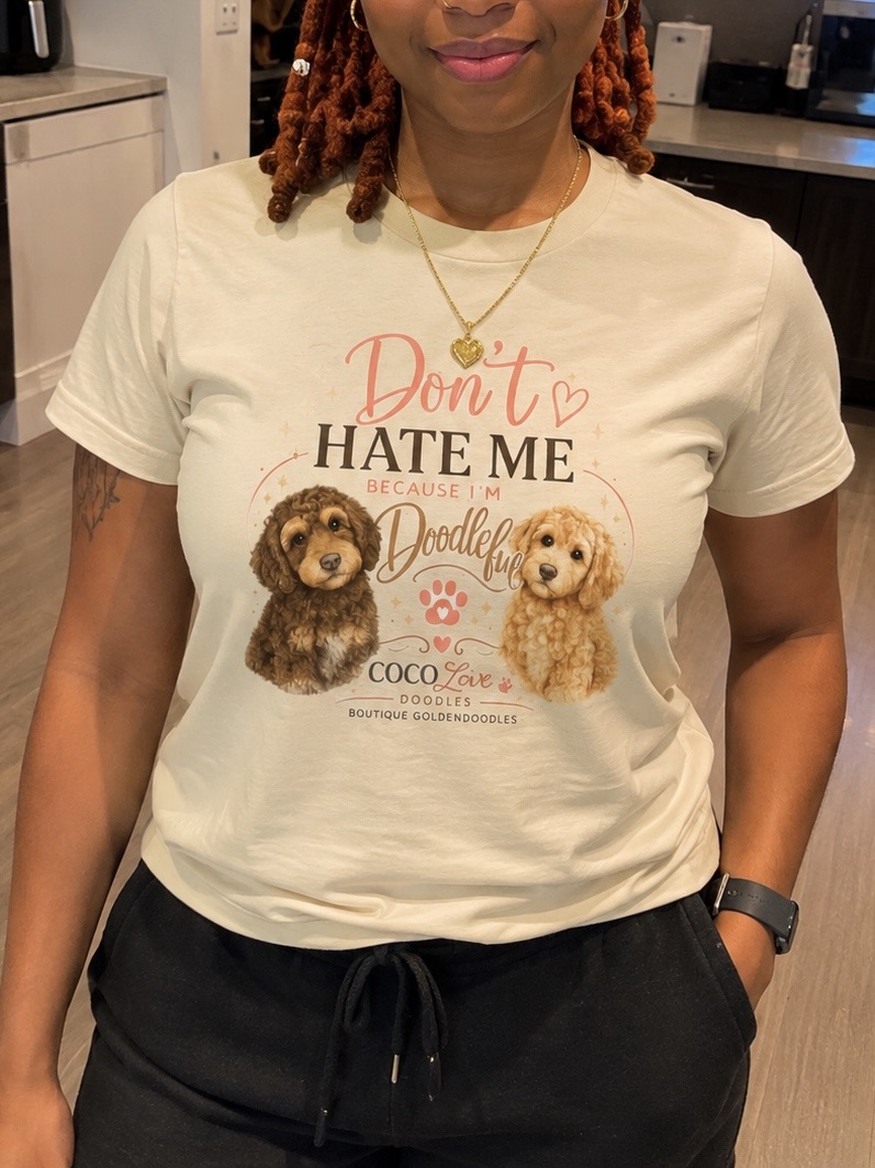 Don't Hate Me Because I'm Doodleful CocoLove Doodles shirt